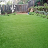 Artificial Grass Alpine Village, California Landscaping, Backyard Makeover