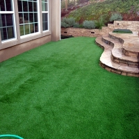 Artificial Grass Canyon Lake, California Rooftop, Backyard Landscaping