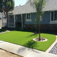 Artificial Grass Carpet Hemet, California Design Ideas, Front Yard Design