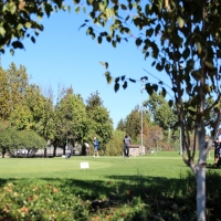 Artificial Grass Carpet Idyllwild, California City Landscape