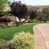 Artificial Grass San Jacinto, California Backyard Deck Ideas, Front Yard Ideas