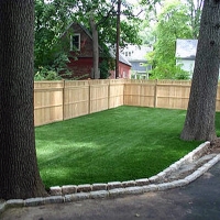 Artificial Lawn Desert Hot Springs, California Drainage, Backyard Landscaping Ideas