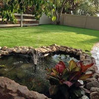 Artificial Turf Cost Thermal, California City Landscape, Backyard Landscaping Ideas