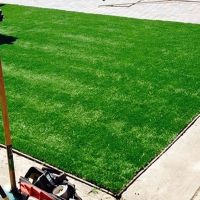 Artificial Turf Mesa Verde, California Landscape Ideas