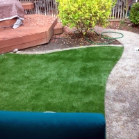 Best Artificial Grass Anza, California Roof Top, Backyard Garden Ideas