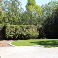 Best Artificial Grass Palm Desert, California Backyard Playground, Backyard