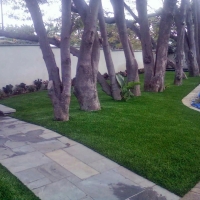 Best Artificial Grass Romoland, California Landscape Ideas, Front Yard Design