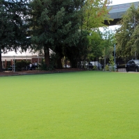 Fake Grass Carpet Cathedral City, California Landscape Design, Commercial Landscape