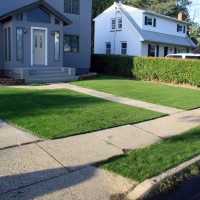 Fake Grass Carpet East Blythe, California Lawn And Garden, Front Yard Ideas