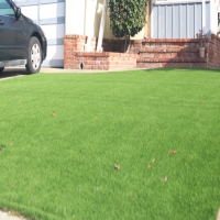 Fake Grass Carpet Mira Loma, California Landscaping, Front Yard