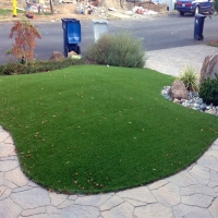 Fake Grass Good Hope, California Garden Ideas