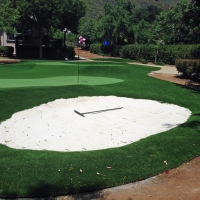 Fake Turf Coachella, California Putting Green Turf, Front Yard Design