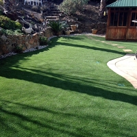 Fake Turf Glen Avon, California Landscape Ideas, Backyard Landscaping Ideas