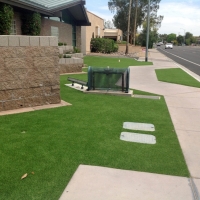 Fake Turf Lakeview, California Landscape Design, Front Yard Landscaping Ideas