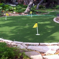 Fake Turf Winchester, California Landscape Design, Backyard Landscaping