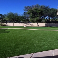 Faux Grass Mesa Verde, California City Landscape, Front Yard Design