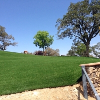 Grass Carpet Wildomar, California Design Ideas, Front Yard Ideas