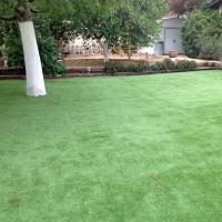 Grass Installation Nuevo, California Lawns, Backyard Garden Ideas