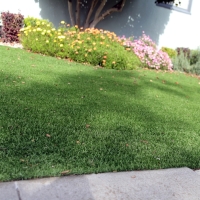 Grass Turf Banning, California Lawn And Garden, Front Yard Ideas