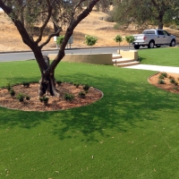 Grass Turf Calimesa, California Garden Ideas, Front Yard