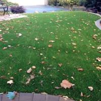 Grass Turf Mortmar, California Roof Top, Front Yard Ideas