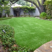 Grass Turf Norco, California Lawn And Landscape, Small Backyard Ideas