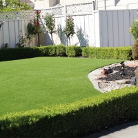 Grass Turf Pedley, California Garden Ideas, Front Yard Landscaping