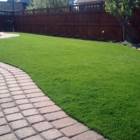 Green Lawn Pedley, California Cat Playground, Backyard Landscaping Ideas