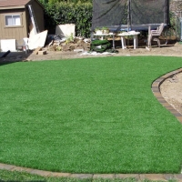 Outdoor Carpet Mead Valley, California Landscaping, Backyard Designs