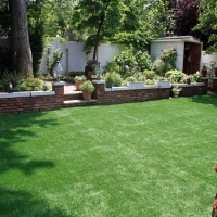 Synthetic Grass Temecula, California City Landscape, Backyard Landscaping Ideas