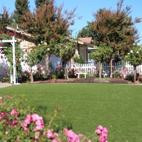 Synthetic Lawn Highgrove, California Lawn And Landscape, Front Yard Design