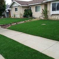 Synthetic Lawn San Jacinto, California Backyard Playground, Front Yard Design