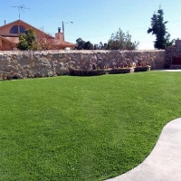 Synthetic Lawn Vista Santa Rosa, California Lawn And Garden, Backyards