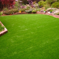 Synthetic Turf Sedco Hills, California Landscape Design, Backyard Landscaping