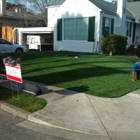 Synthetic Turf Supplier Oasis, California Landscape Photos, Front Yard Ideas