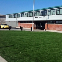 Synthetic Turf Supplier Vista Santa Rosa, California Paver Patio, Commercial Landscape