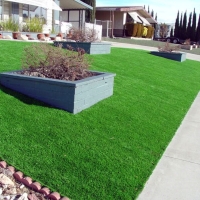 Turf Grass Indio, California Lawns, Front Yard