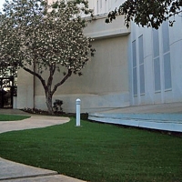 Turf Grass San Jacinto, California Roof Top, Front Yard