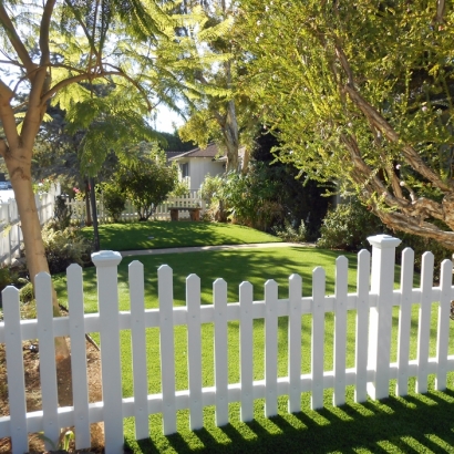 Artificial Grass Hemet, California Rooftop, Landscaping Ideas For Front Yard