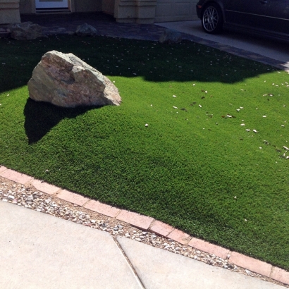 Artificial Lawn Beaumont, California Lawn And Garden