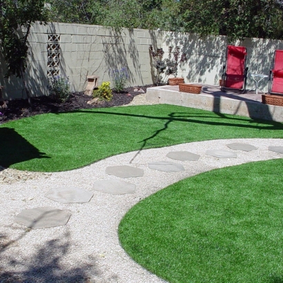 Artificial Lawn Indio, California Lawn And Garden, Backyard Landscaping