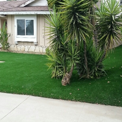 Artificial Turf Aguanga, California Garden Ideas, Front Yard Landscape Ideas