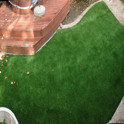 Artificial Turf Blythe, California Gardeners, Backyard Landscape Ideas