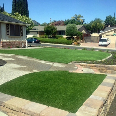 Artificial Turf Cost Anza, California Design Ideas