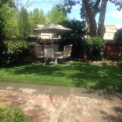 Artificial Turf Cost Desert Edge, California Design Ideas, Backyard Landscaping