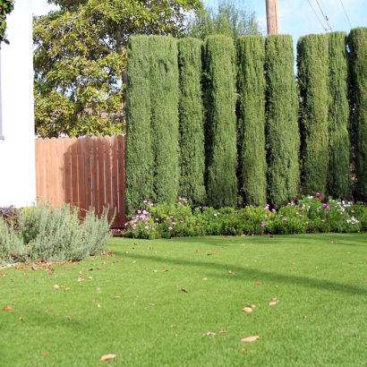 Artificial Turf Cost Moreno Valley, California Design Ideas, Front Yard Design