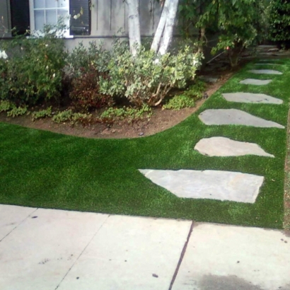 Artificial Turf Cost Winchester, California Rooftop, Front Yard Landscape Ideas