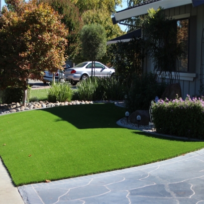 Artificial Turf Mesa Verde, California Design Ideas, Front Yard Landscaping