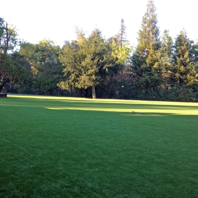 Artificial Turf Romoland, California Landscape Ideas, Recreational Areas