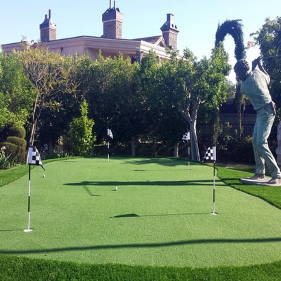 Best Artificial Grass Quail Valley, California Diy Putting Green, Backyard Ideas